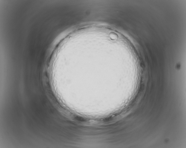 X0000116841271201001291657