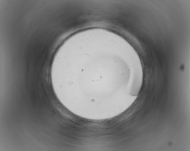 X0000116841272201001291657