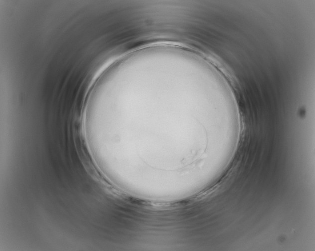 X0000116841274201001291657