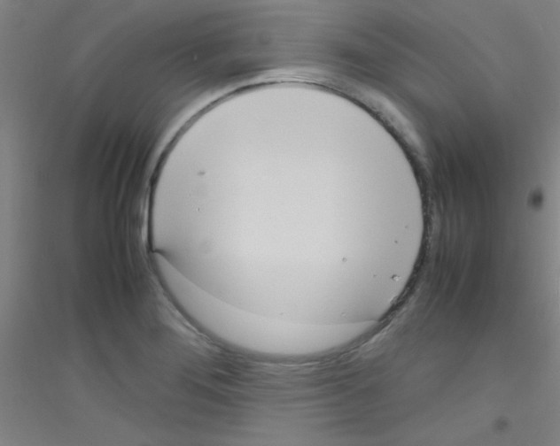 X0000116841276201001291657