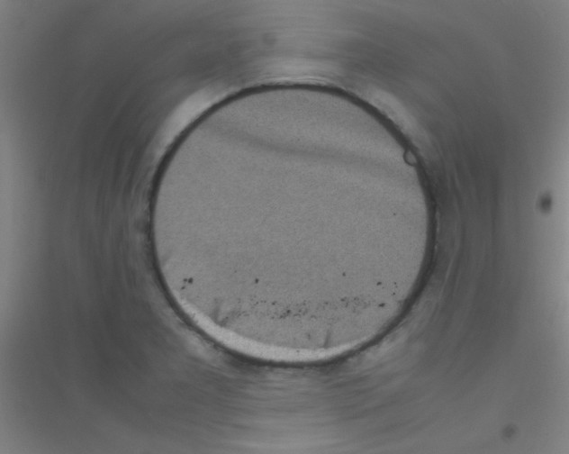 X0000116841277201001291657