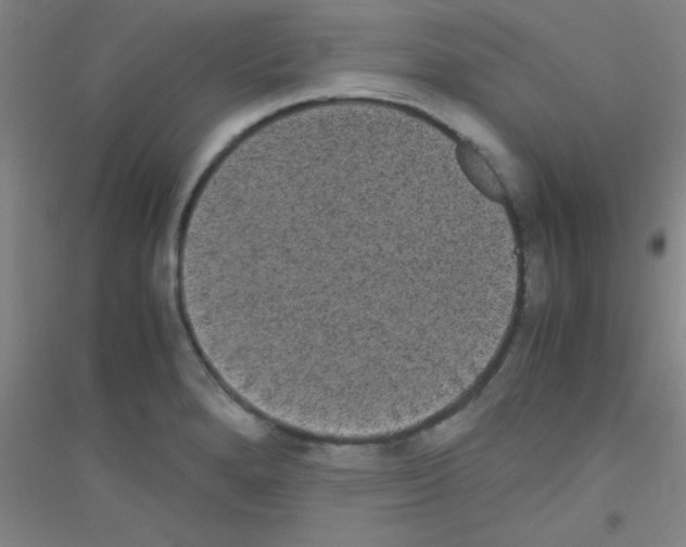 X0000116841280201001291657