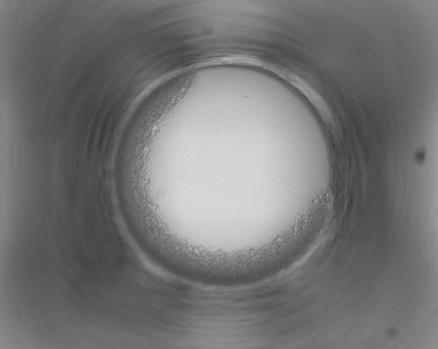 X0000116841281201001291657