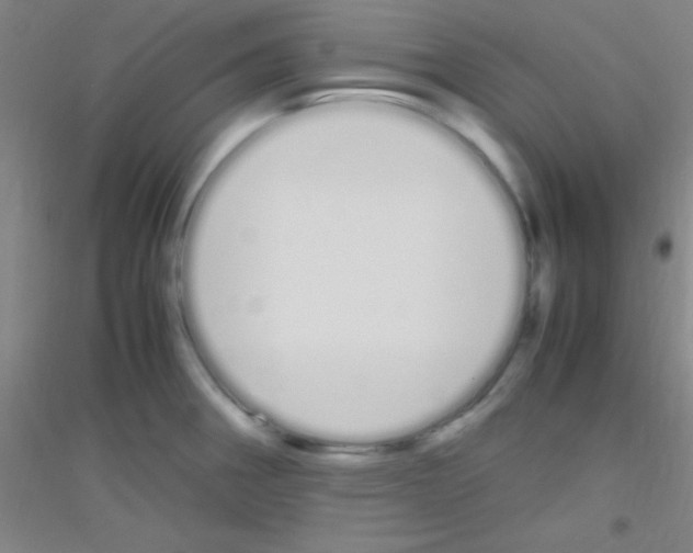 X0000116841282201001291657