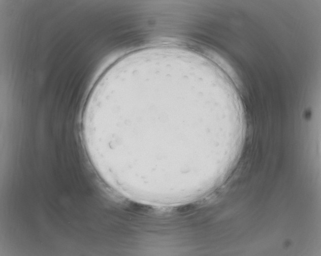 X0000116841283201001291657