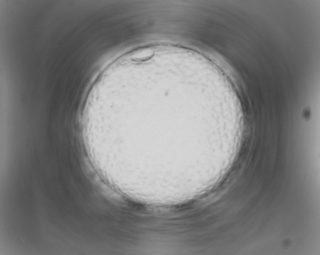 X0000116841287201001291657