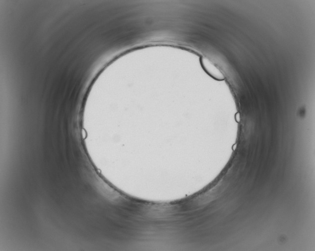 X0000116841288201001291657