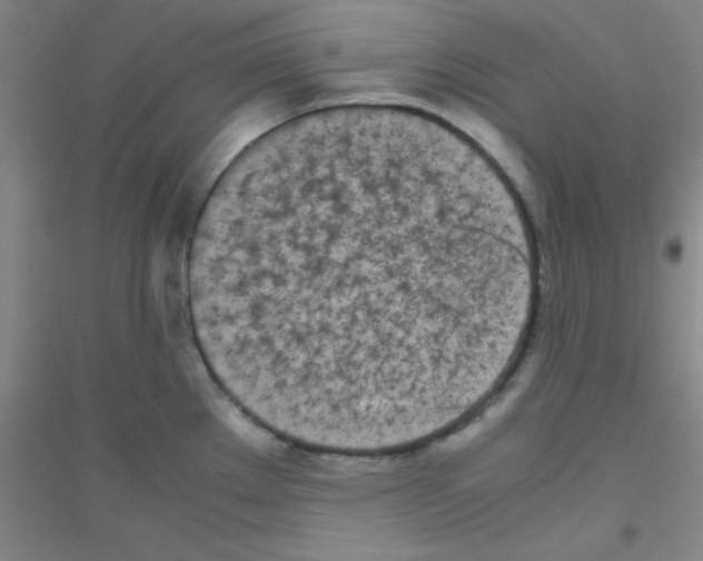 X0000116841289201001291657