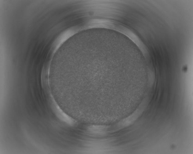 X0000116841290201001291657