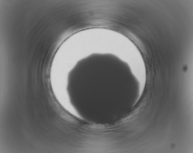 X0000116841291201001291657