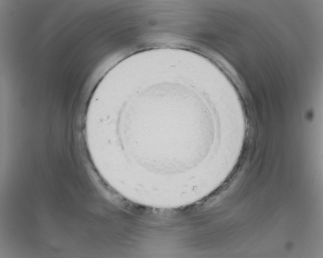 X0000116841293201001291657