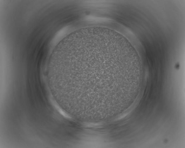 X0000116841294201001291657