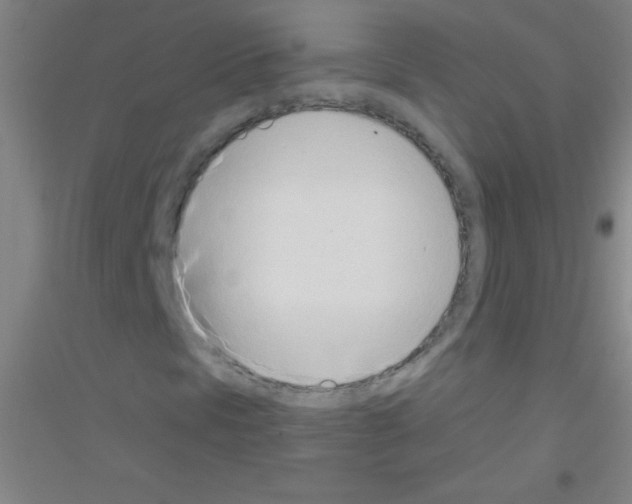 X0000116841297201001291656