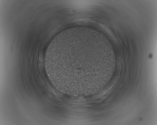 X0000116841298201001291656