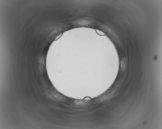 X0000116841299201001291656