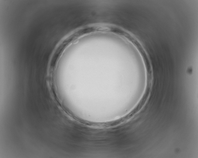 X0000116841301201001291656