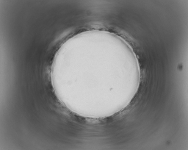 X0000116841302201001291656