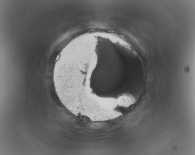 X0000116841303201001291656
