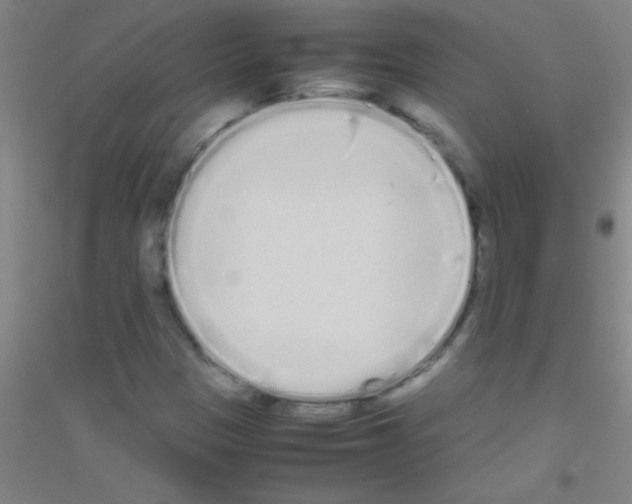 X0000116841305201001291656