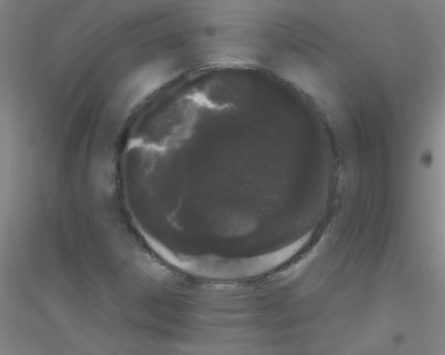X0000116841306201001291656