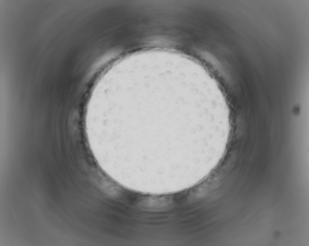 X0000116841307201001291656