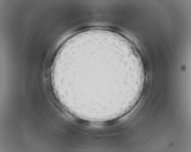 X0000116841309201001291656
