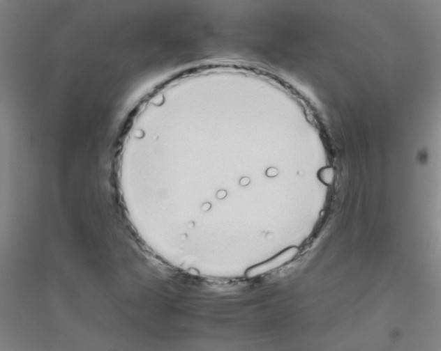 X0000116841311201001291656