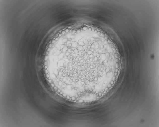 X0000116841313201001291656