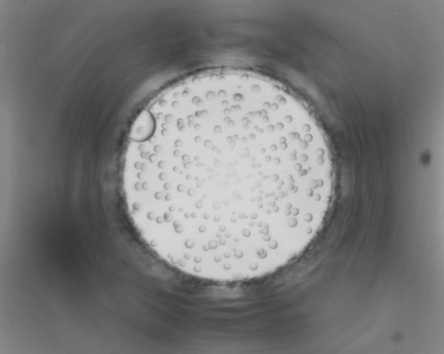 X0000116841315201001291656