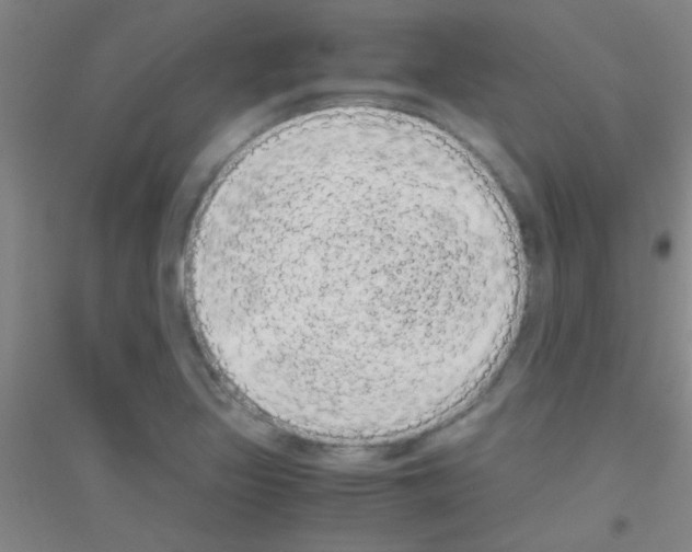 X0000116841317201001291656