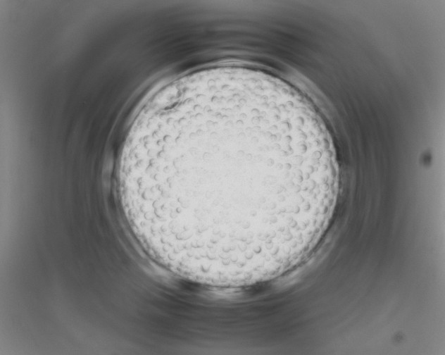 X0000116841321201001291656