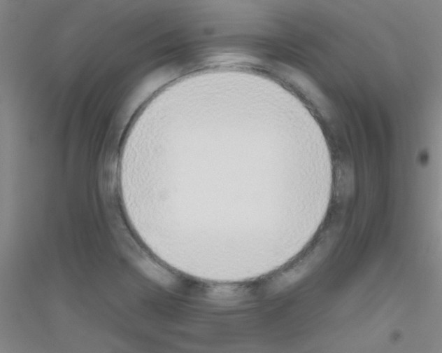 X0000116841322201001291656