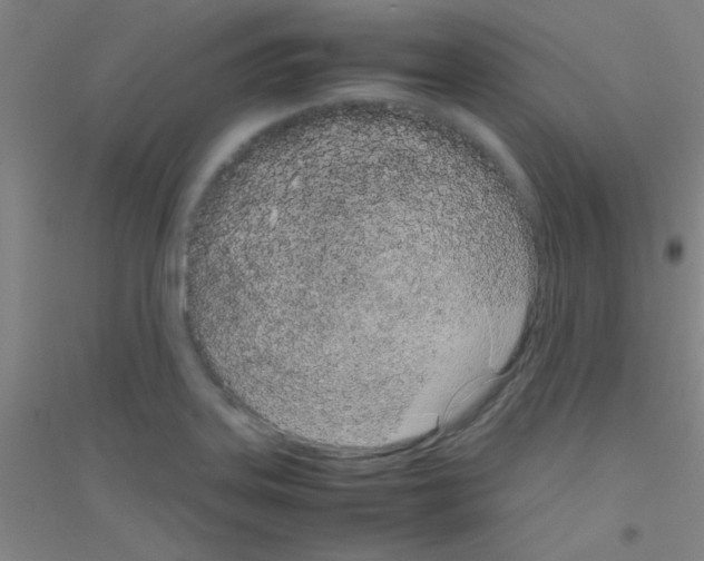 X0000116841323201001291656