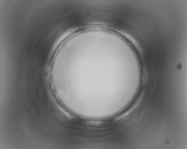 X0000116841325201001291656