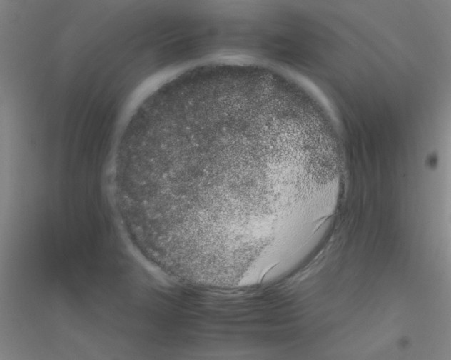 X0000116841327201001291656
