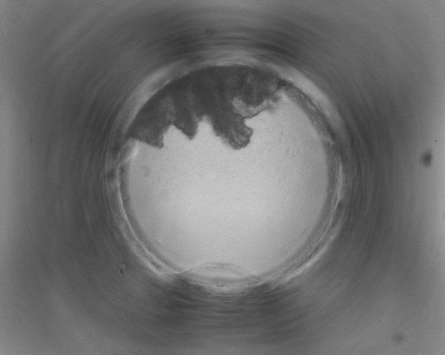 X0000116841329201001291656