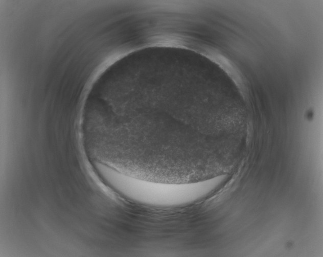 X0000116841331201001291656