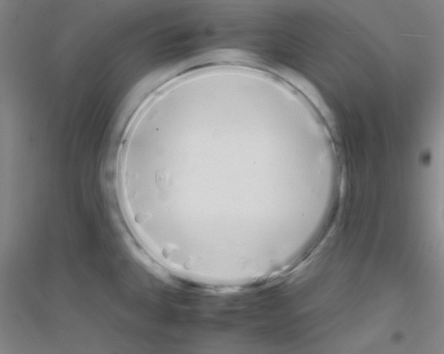 X0000116841335201001291656