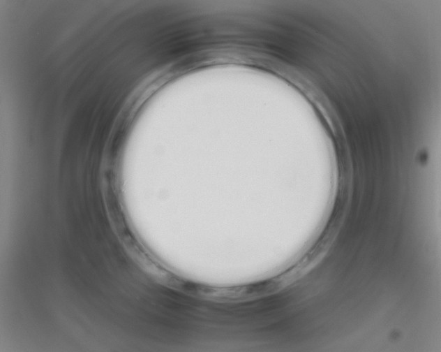 X0000116841337201001291656