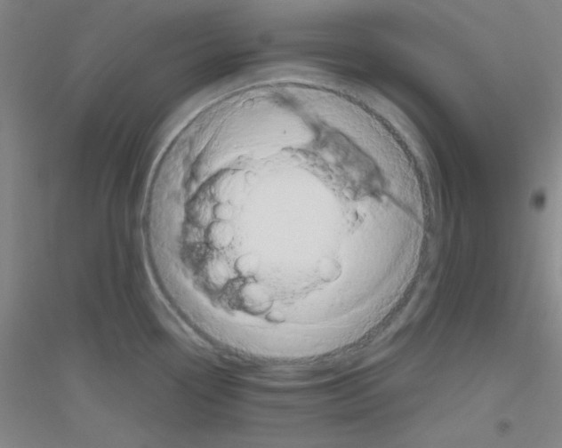 X0000116841338201001291656