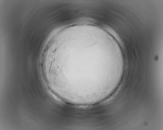 X0000116841339201001291656