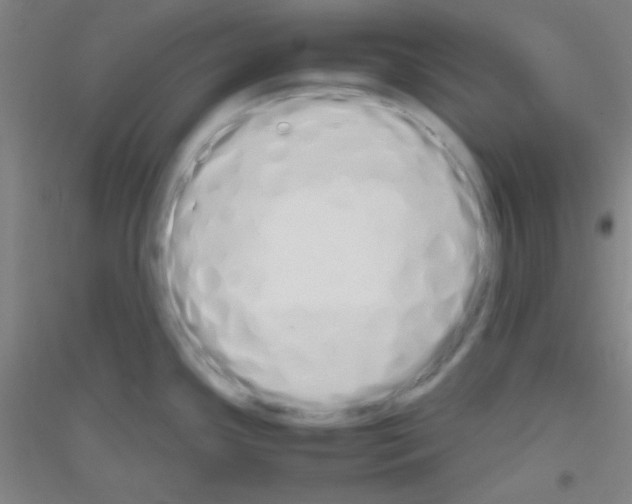 X0000116841341201001291656