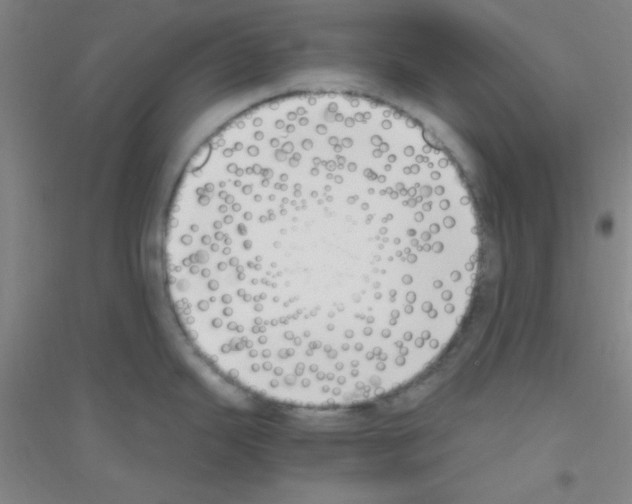 X0000116841343201001291656