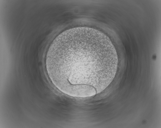 X0000116841345201001291656