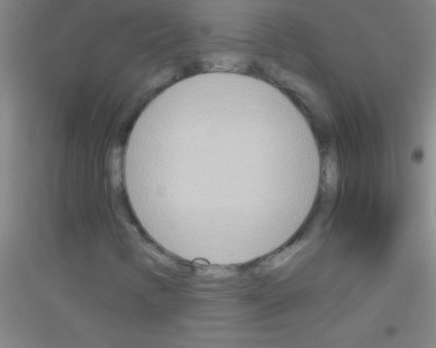 X0000116841346201001291656