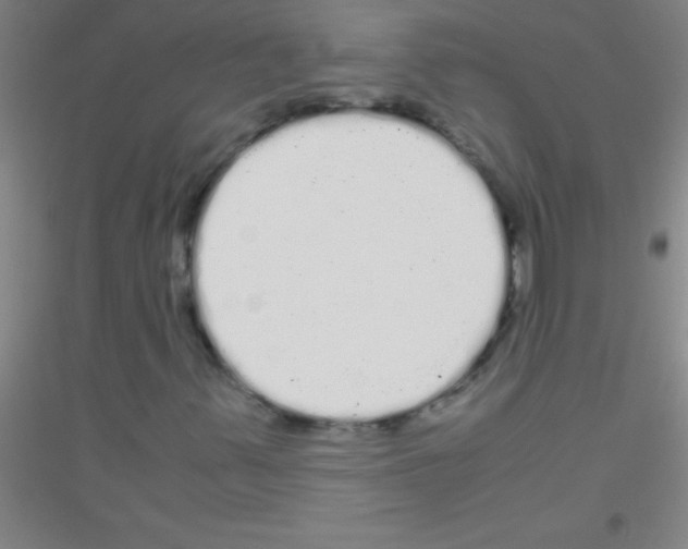 X0000116841347201001291656