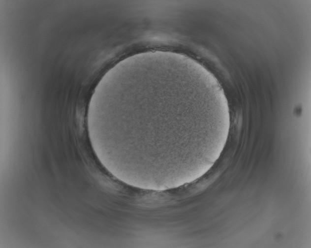 X0000116841348201001291656