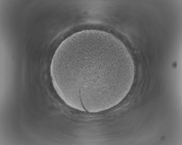 X0000116841349201001291656