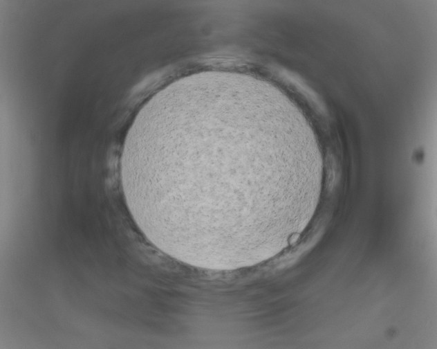 X0000116841350201001291656