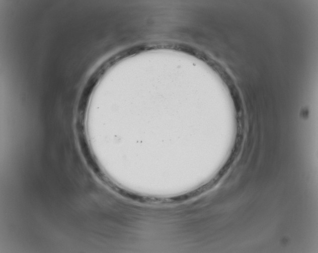 X0000116841351201001291656